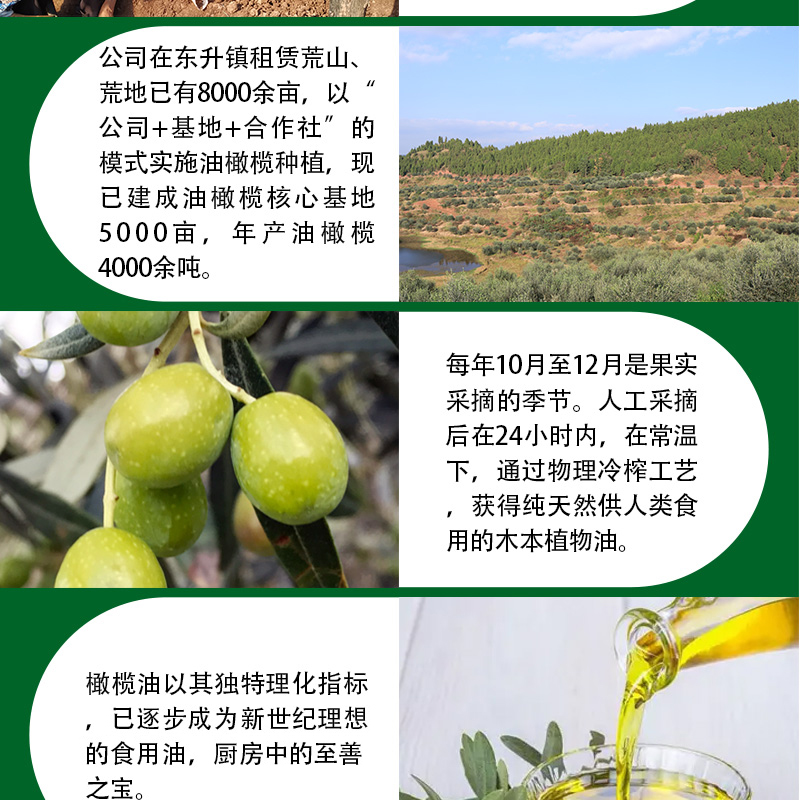 橄榄油详图1_04.jpg